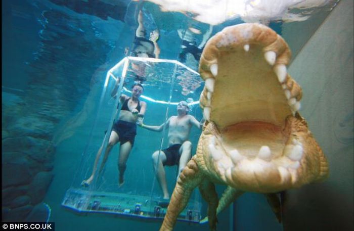 Прикольные картинки (164 фото)