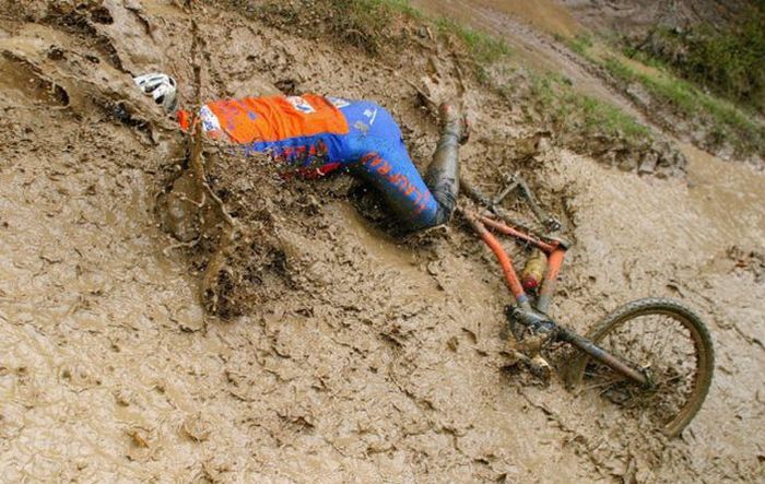 Прикольные картинки (164 фото)