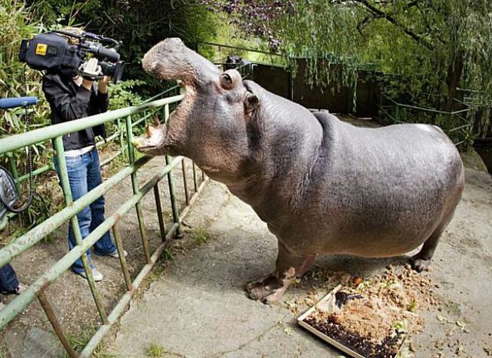 Прикольные картинки (164 фото)