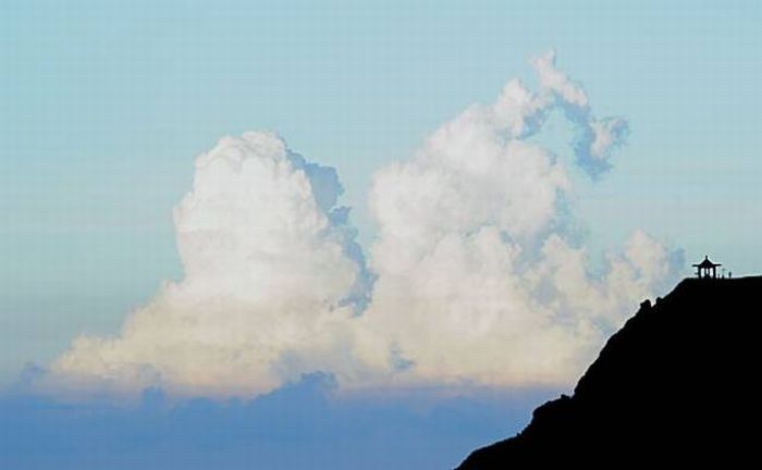 Прикольные картинки (164 фото)