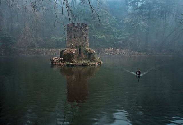 Прикольные картинки (164 фото)