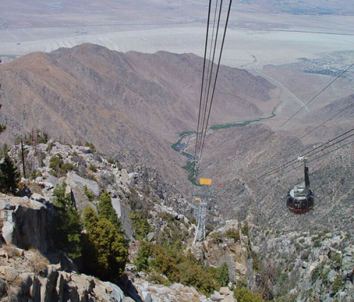 Прикольные картинки (164 фото)