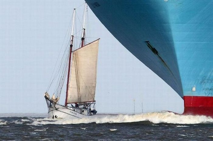 Прикольные картинки (164 фото)