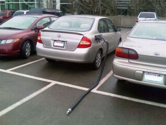 Прикольные картинки (164 фото)