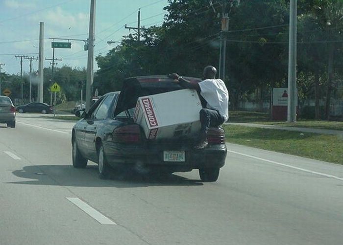 Прикольные картинки (164 фото)