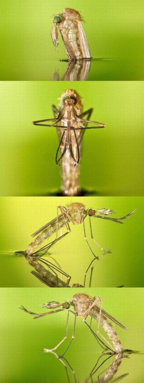 Прикольные картинки (164 фото)