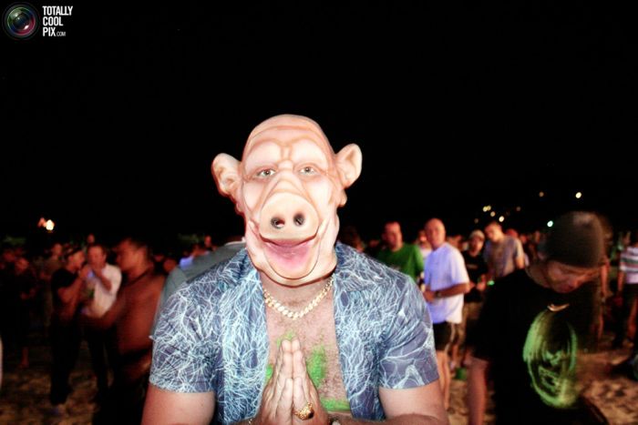 Прикольные картинки (164 фото)