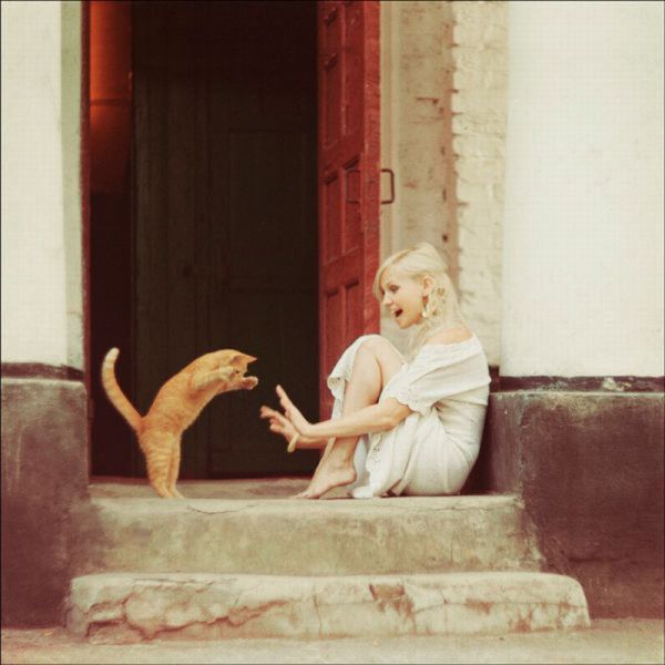 Прикольные картинки (135 фото)