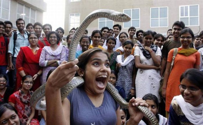 Прикольные картинки (135 фото)