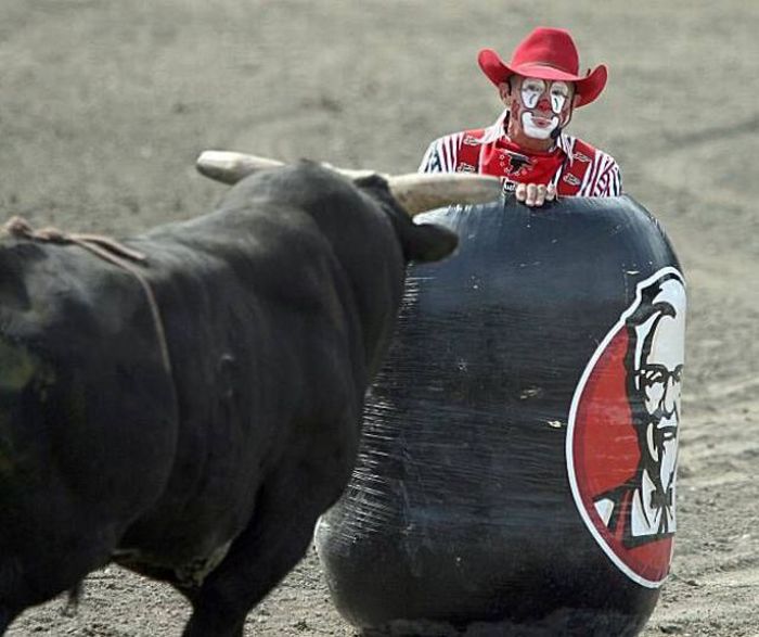 Прикольные картинки (135 фото)