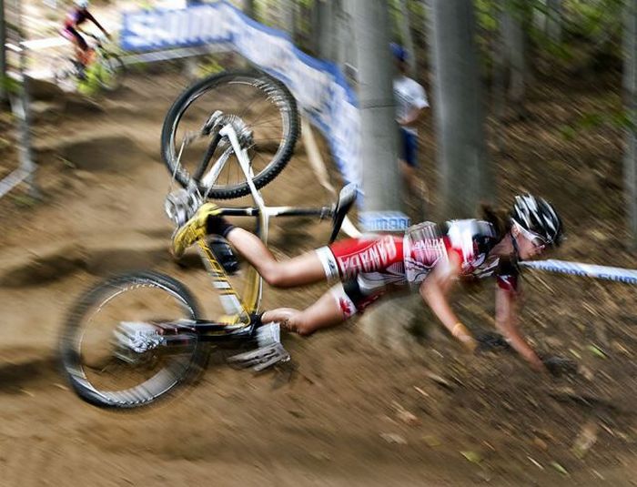 Прикольные картинки (139 фото)