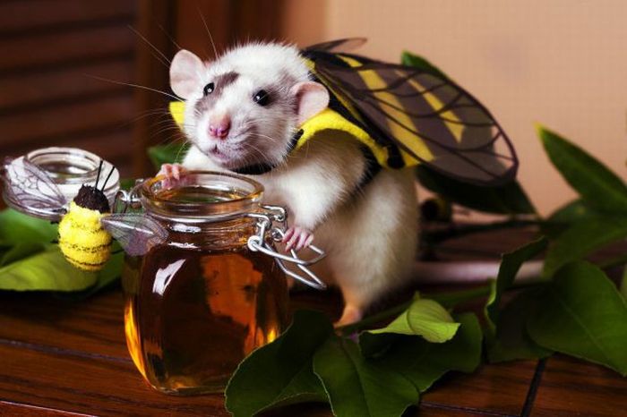 Прикольные картинки (120 фото)