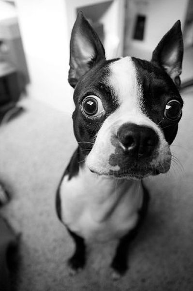 Прикольные картинки (130 фото)