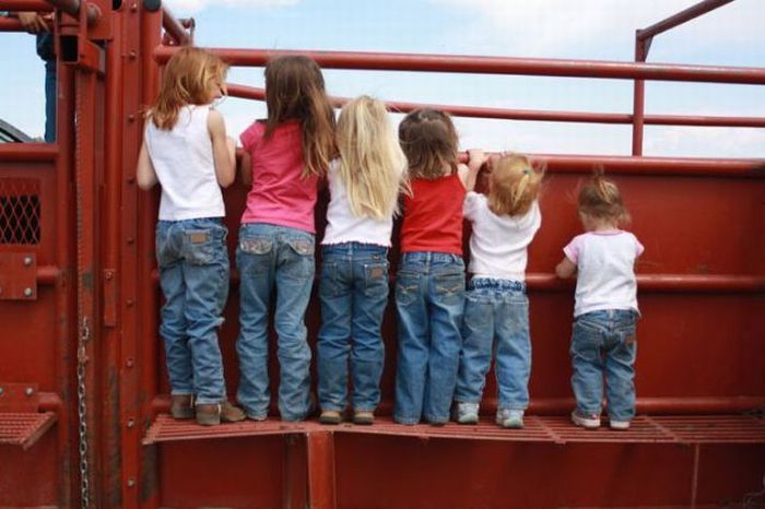 Прикольные картинки (130 фото)