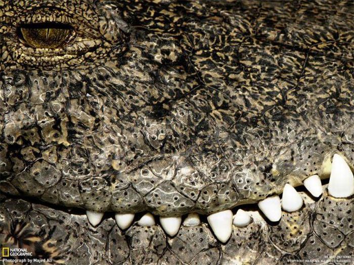 Прикольные картинки (130 фото)