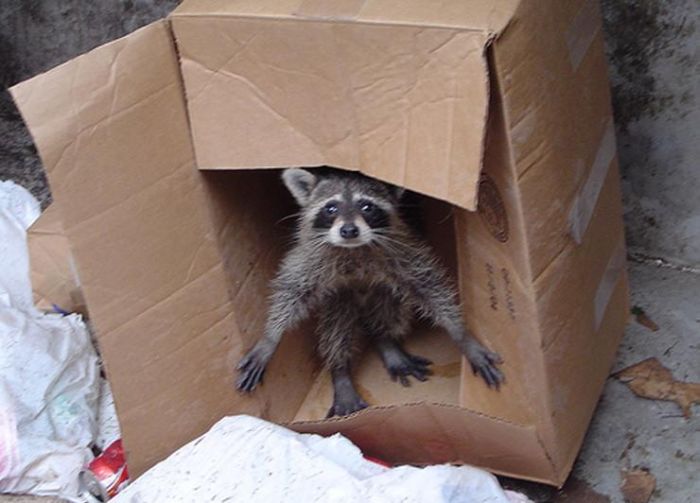 Прикольные картинки (130 фото)