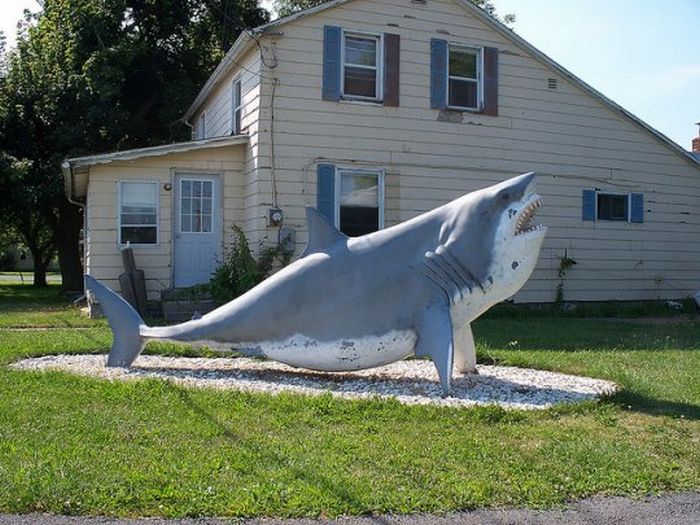 Прикольные картинки (130 фото)