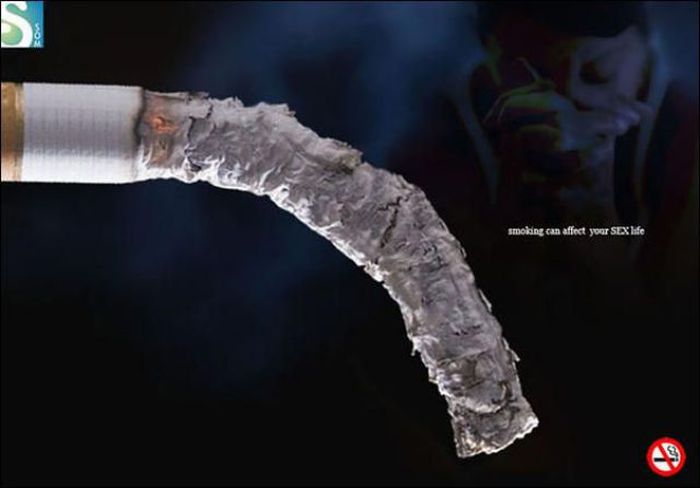 Прикольные картинки (130 фото)