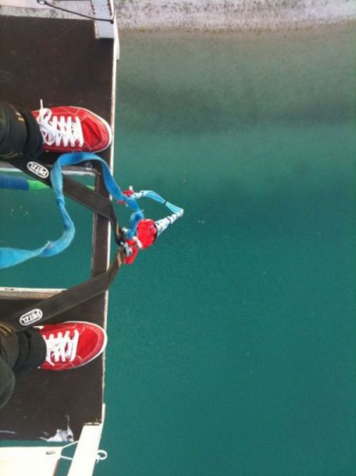 Прикольные картинки (130 фото)