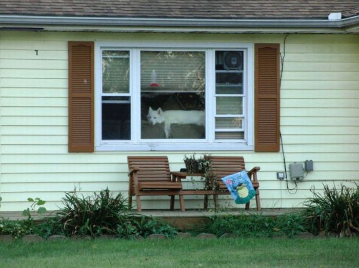 Прикольные картинки (130 фото)