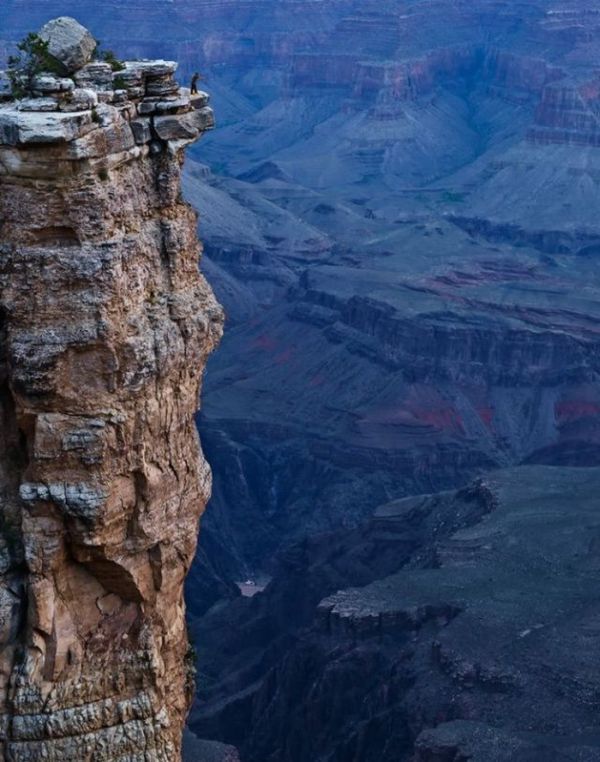 Прикольные картинки (130 фото)