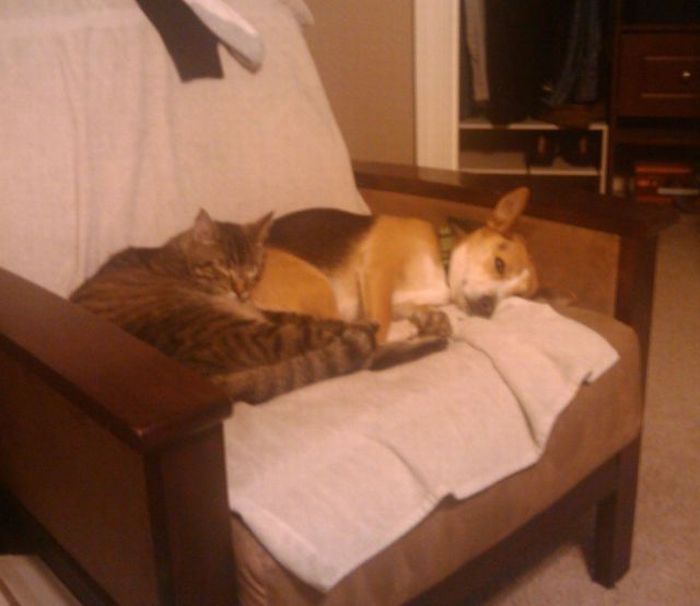 Прикольные картинки (131 фото)