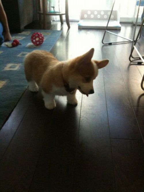 Прикольные картинки (131 фото)