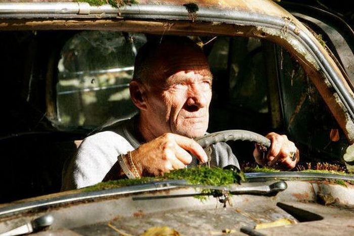 Прикольные картинки (128 фото)