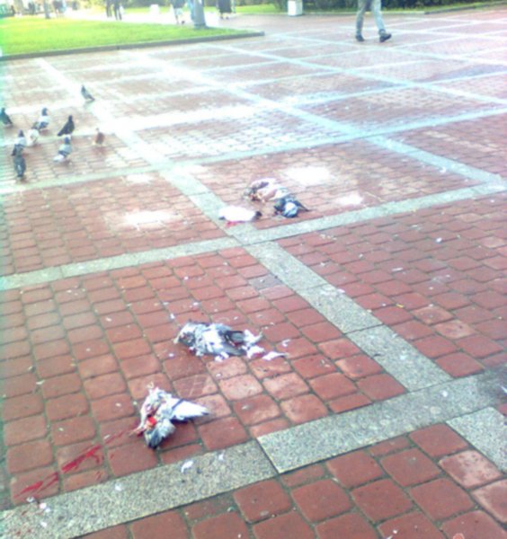 А этим людям еще и оружие выдают А этим людям еще и оружие выдают