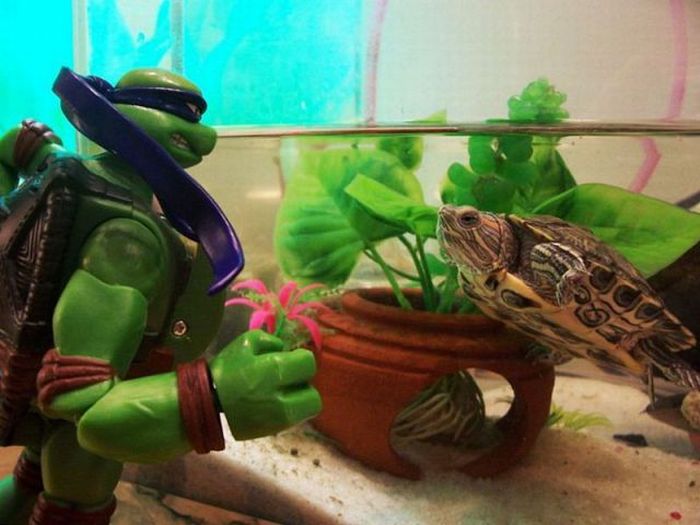 Прикольные картинки