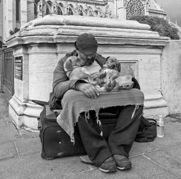 Прикольные картинки