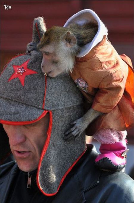 Прикольные картинки