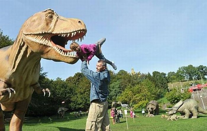 Прикольные картинки