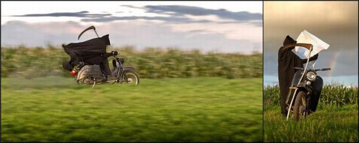 Прикольные картинки