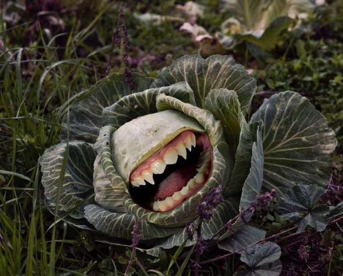 Прикольные картинки