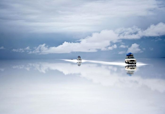 Прикольные картинки