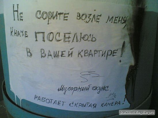 Прикольные картинки