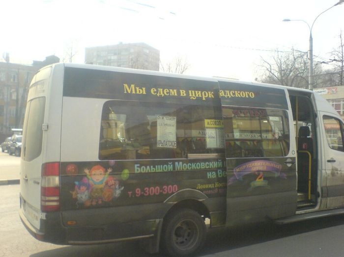 Прикольные картинки