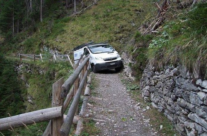 Прикольные картинки