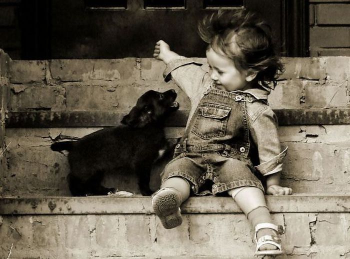 Прикольные картинки