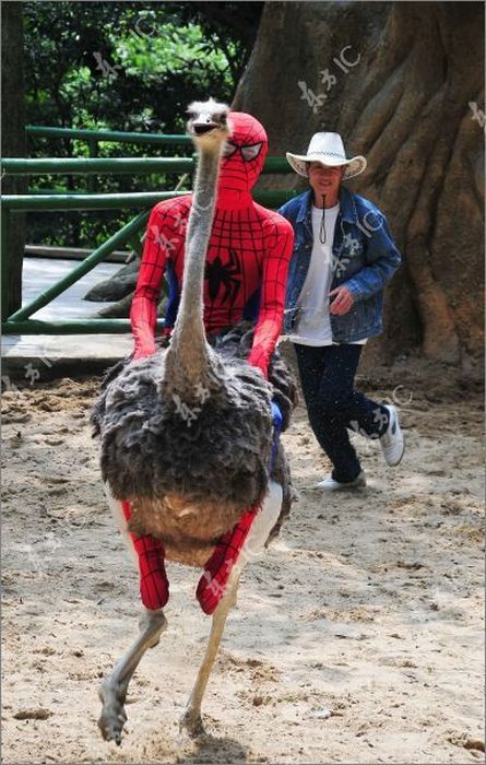 Прикольные картинки