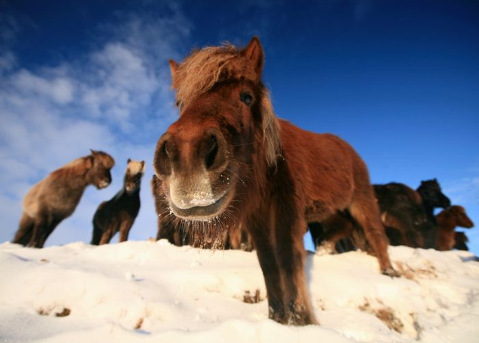 Прикольные картинки