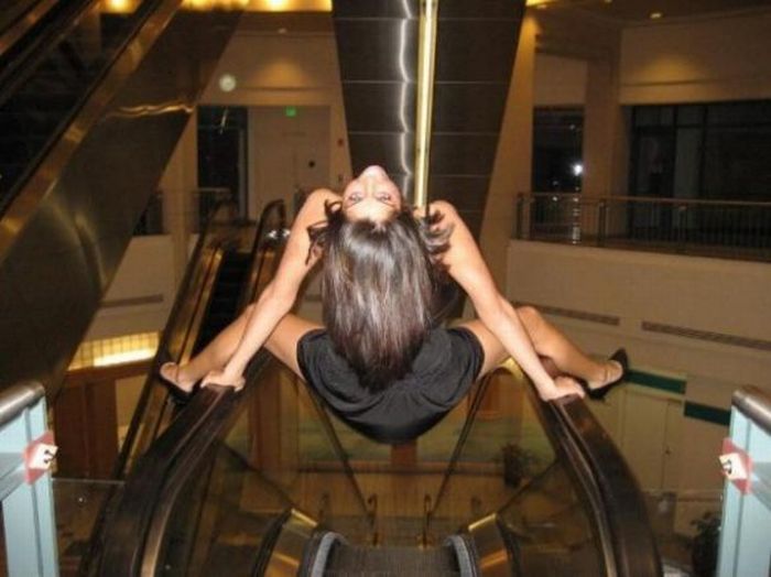 Прикольные картинки