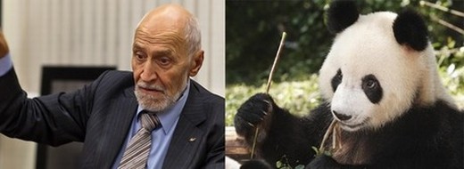 Дроздов прекрасен