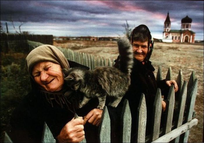 Прикольные картинки (117 фото)