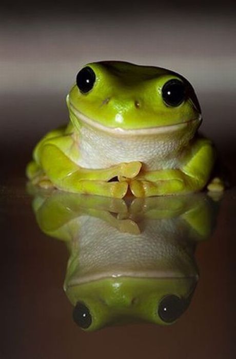 Прикольные картинки (117 фото)