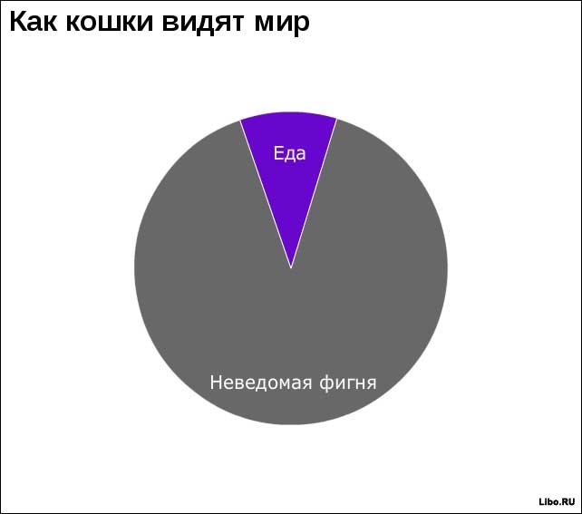 Диаграмма кошка. Смешные диаграммы. Диаграммы юмор. Юмор в графиках. Самые смешные диаграммы.