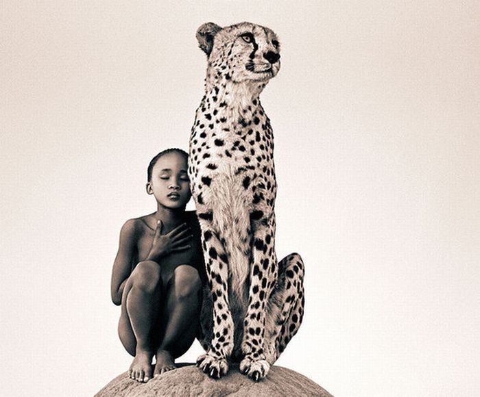 Прикольные картинки (126 фото)