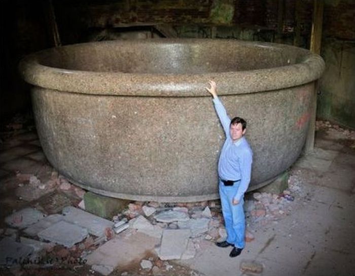 Прикольные картинки (126 фото)