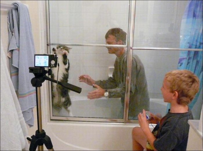 Прикольные картинки (100 фото)